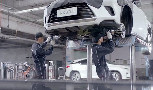 不想賺我們的錢？這個(gè)品牌火到加價(jià)，但為何不國產(chǎn)